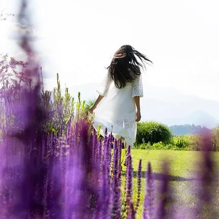 De Charme 4* Laveno-Mombello